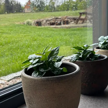 2domky Horni Cerna Studnice