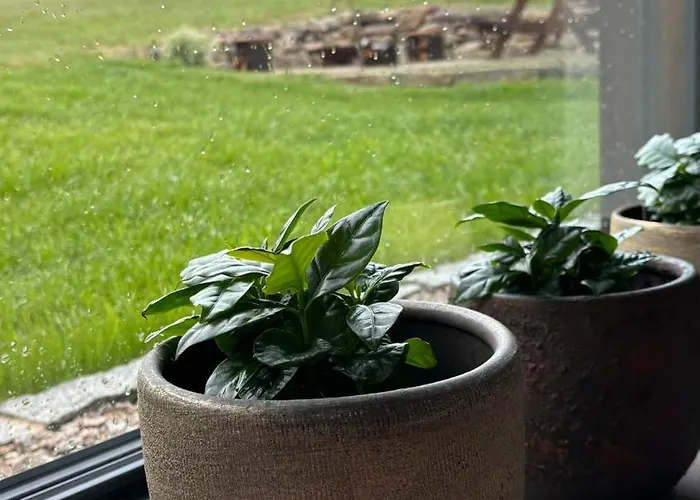 2domky Horni Cerna Studnice